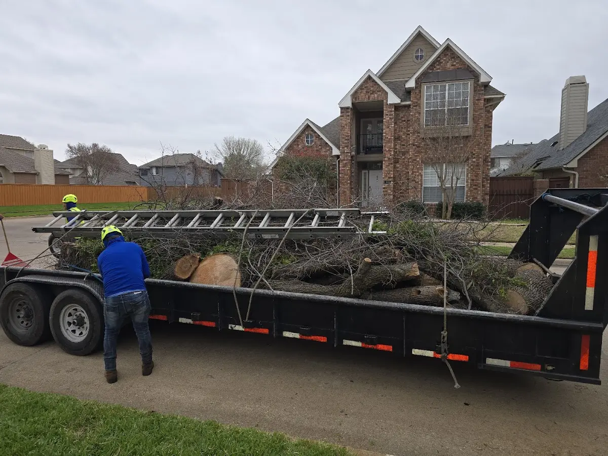 Expert Lot Clearing with proper safety equipment in Circleville